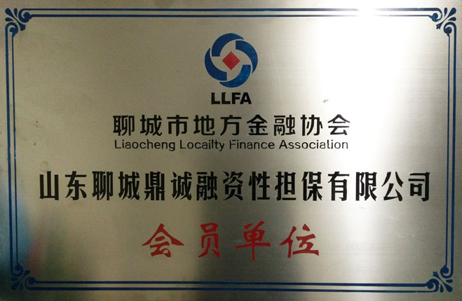 山東聊城鼎誠投資擔(dān)保有限公司